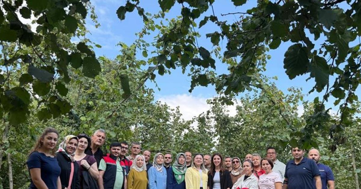 duzcede findik uretimini artirmak icin egitim programi Xw3lVIPR.jpg
