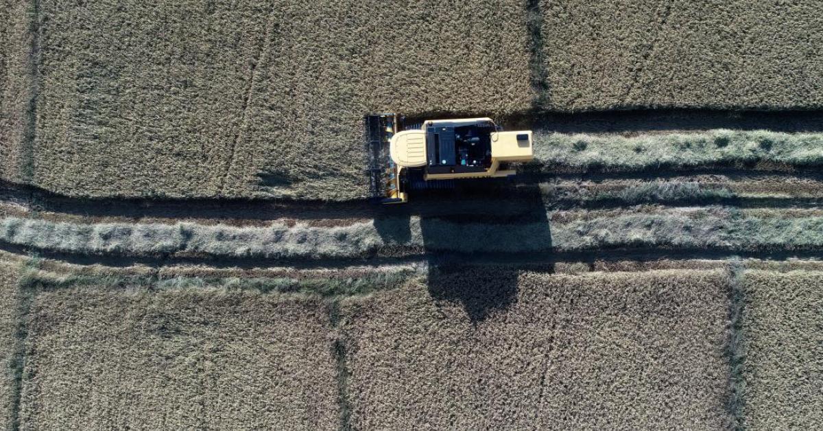 Düzce’nin Coğrafi İşaretli Hazinesine İlgi Artıyor