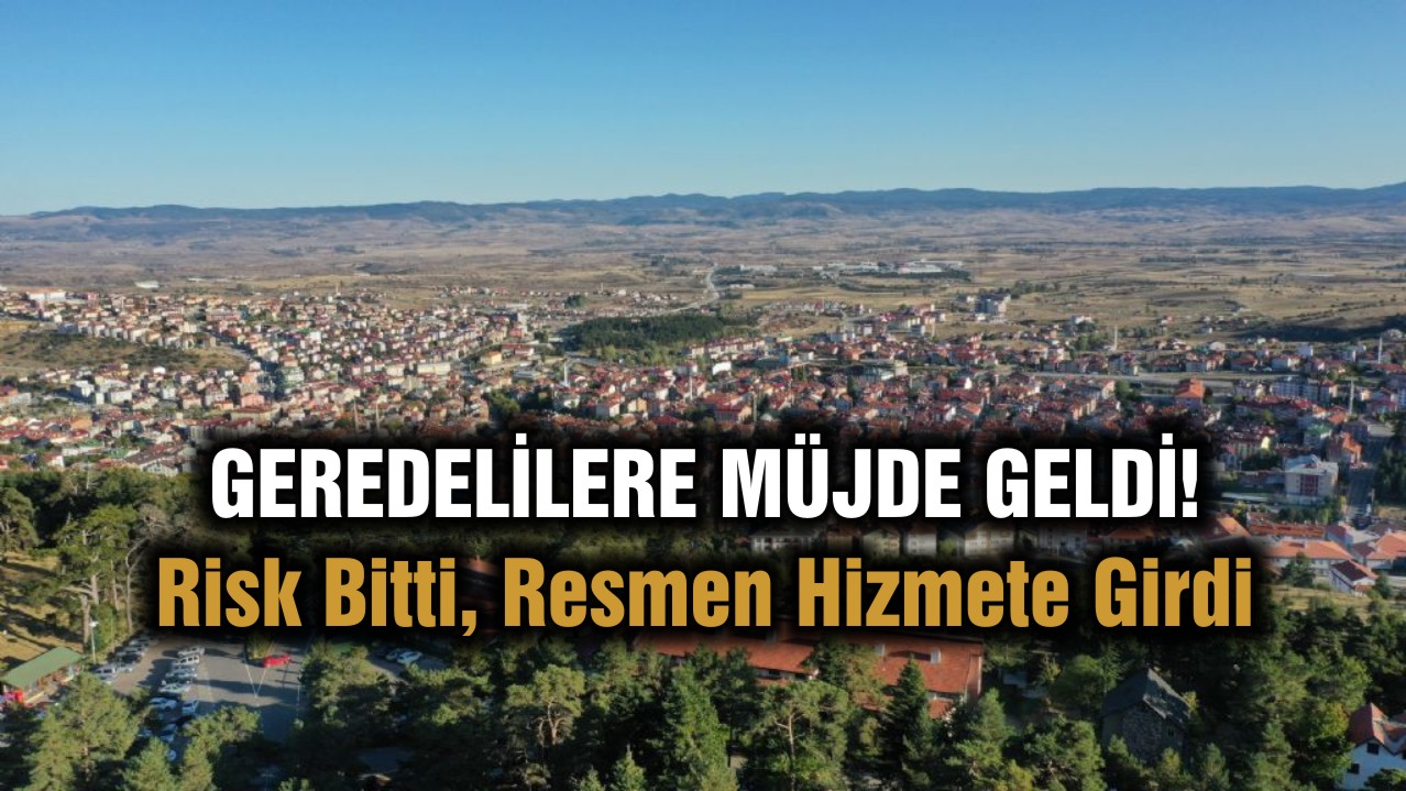hayvan pazarı