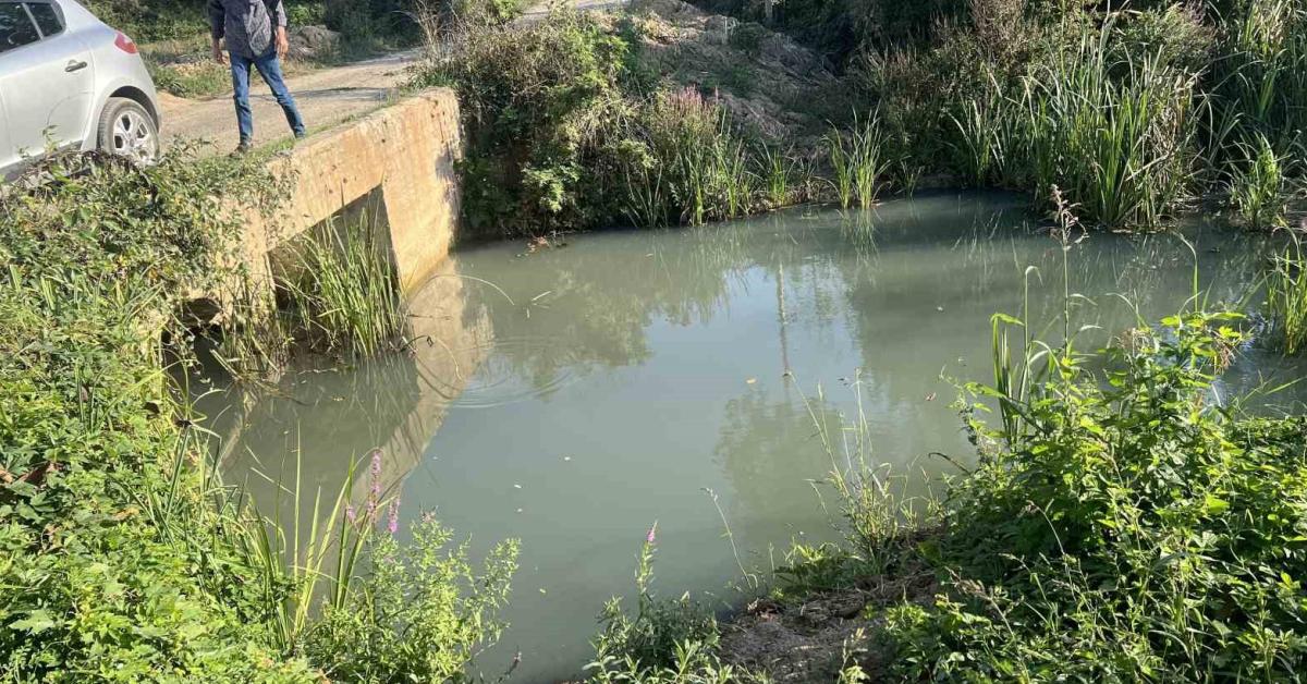 sakarya ferizlide kanal kirliligi baliklar oluyor mahalle sakinleri isyan ediyor 3WqwZuSD.jpg