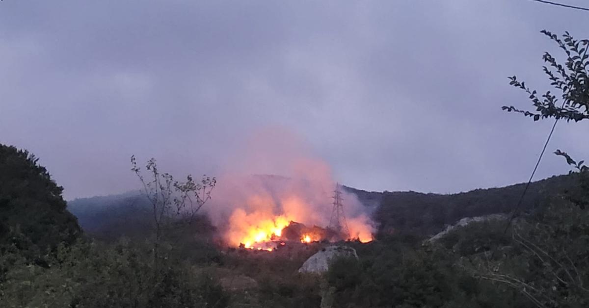 sakarya geyvede korkutan yangin KqgW23wT.jpg