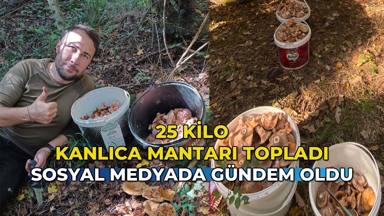 25 Kilo Kanlıca Mantarı Topladı Sosyal Medyada Gündem Oldu