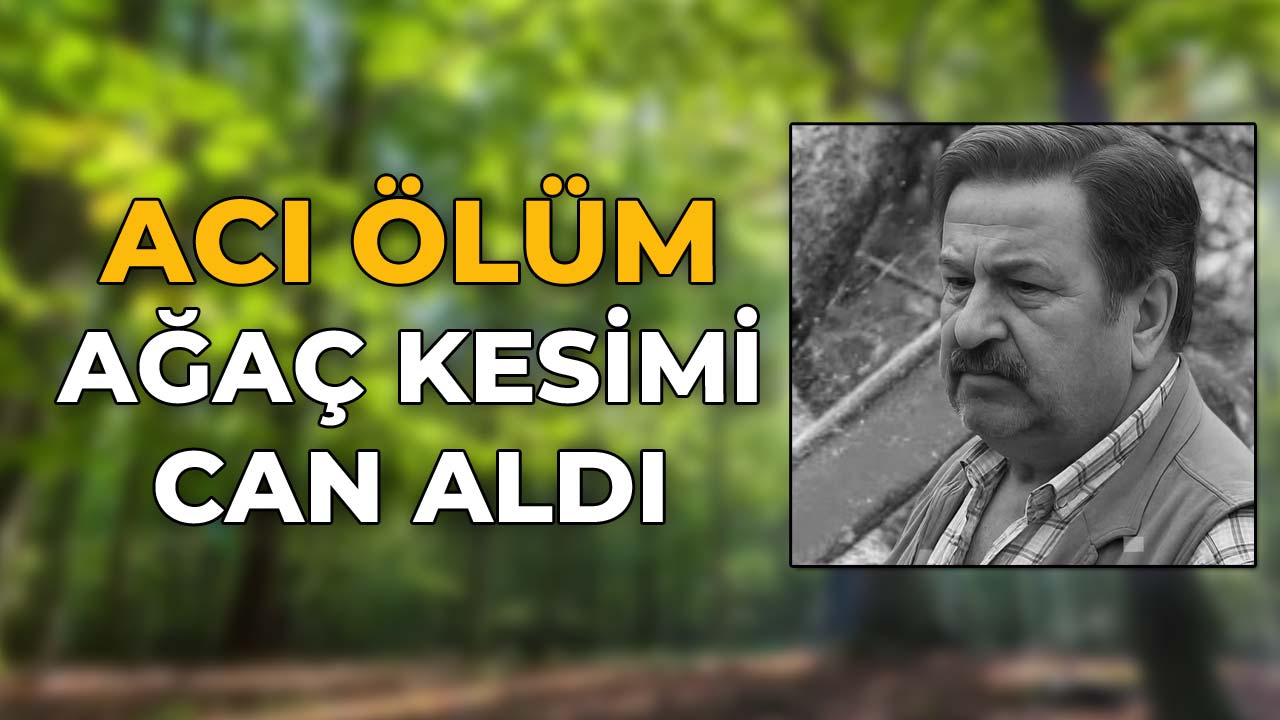 Ağaç Kesimi Can Aldı