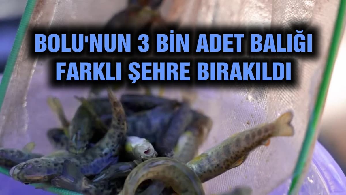 BALIK
