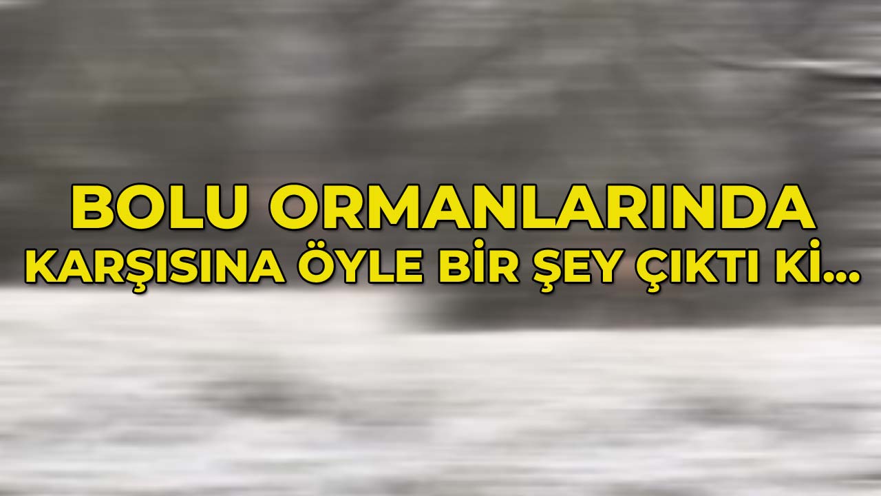 Bolu Ormanlarında Karşısına Öyle Bir Şey Çıktı Ki...2