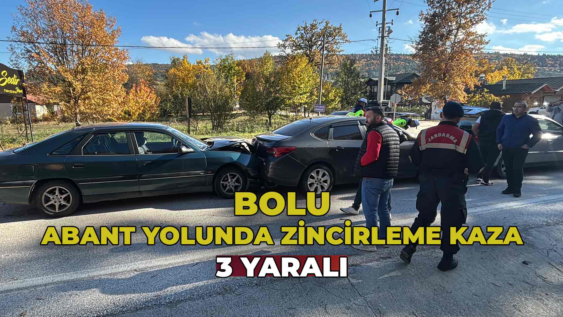 Bolu'da Abant Yolu Üzerinde Zincirleme Kaz22