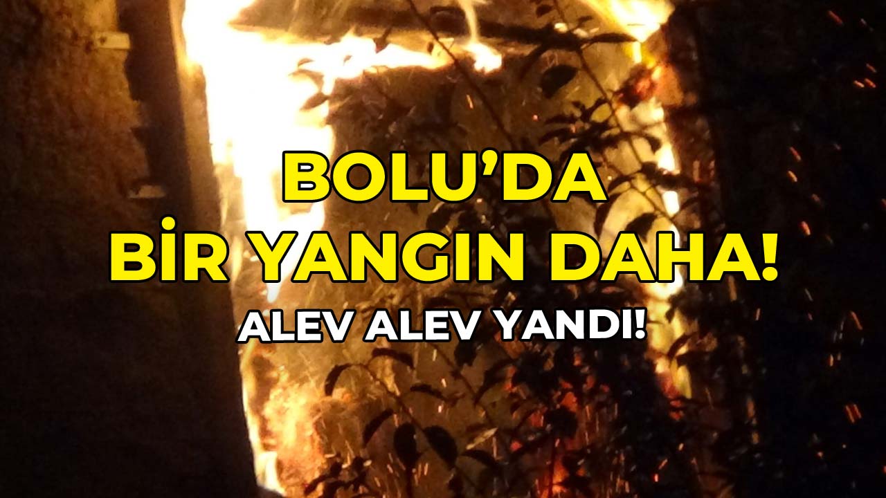 Bolu’da Bir Yangın Daha! Alev Alev Yandı