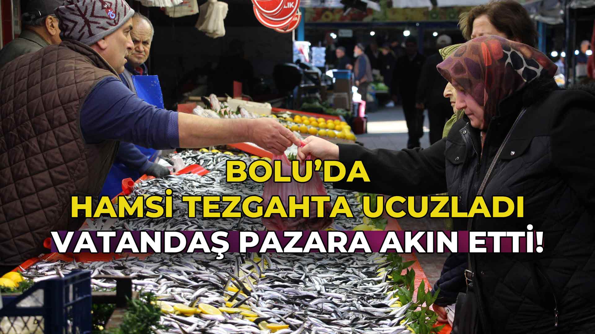 Bolu’da Hamsi Tezgahta Ucuzladı33