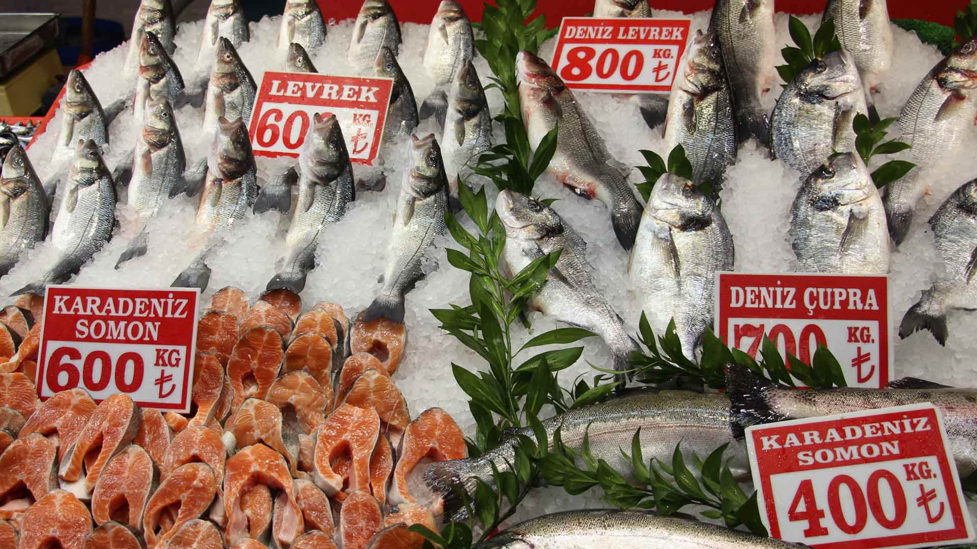 Bolu’da Hamsi Tezgahta Ucuzladı55
