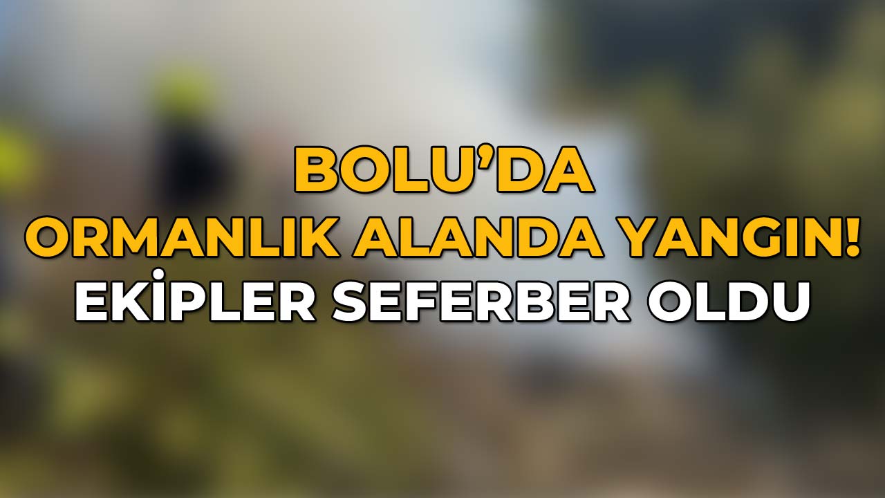 Bolu'da Ormanlık Alanda Yang445 Ekipler Seferber Oldu