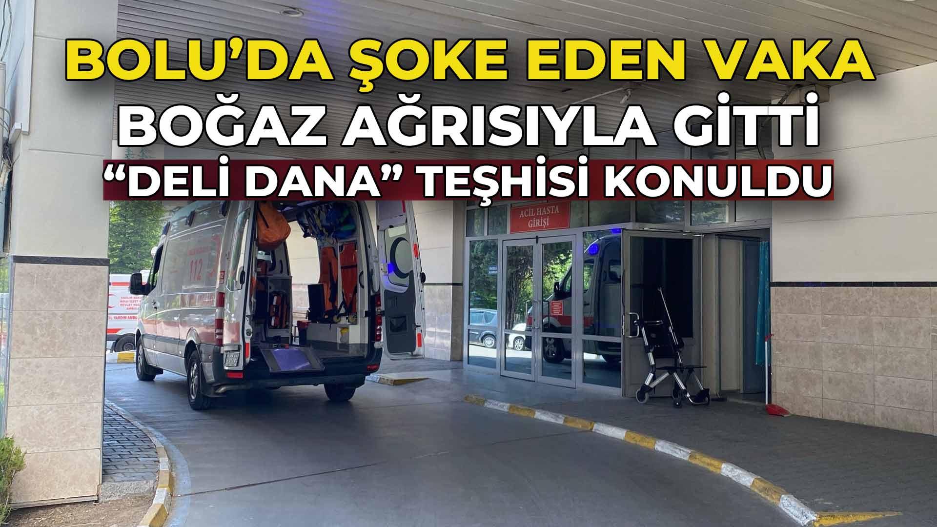 Bolu’da Şoke Eden Vaka