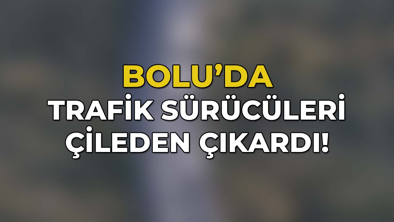 Bolu'da Trafik Sürücüleri Çileden Çıkardı21