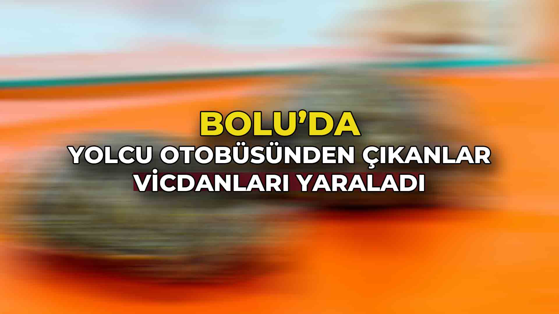 Bolu’da Yolcu Otobüsünden Çıkanlar Vicdanları Yaraladı!