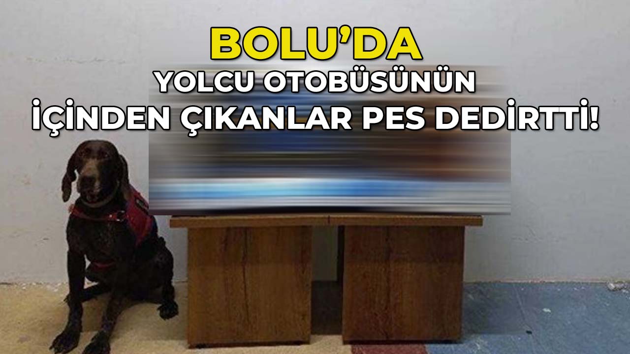 Bolu'da Yolcu Otobüsünün İçinden Çıkanlar Pes Dedirtti!