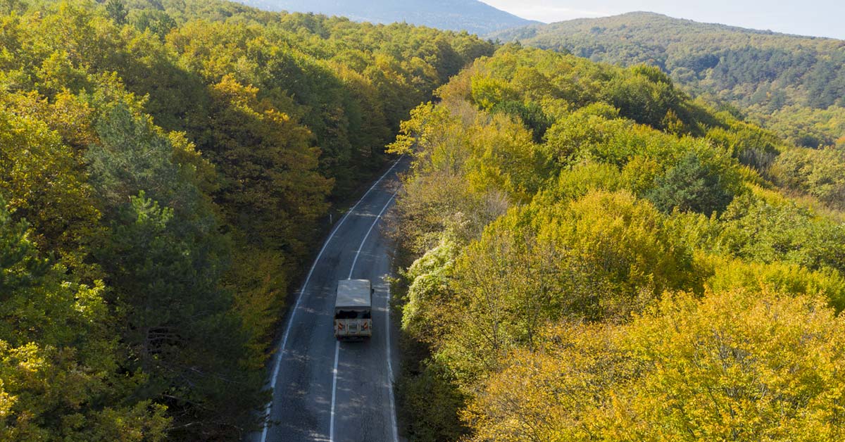 Bolu’nun Ormanlarında Sonbahar Büyüsü2