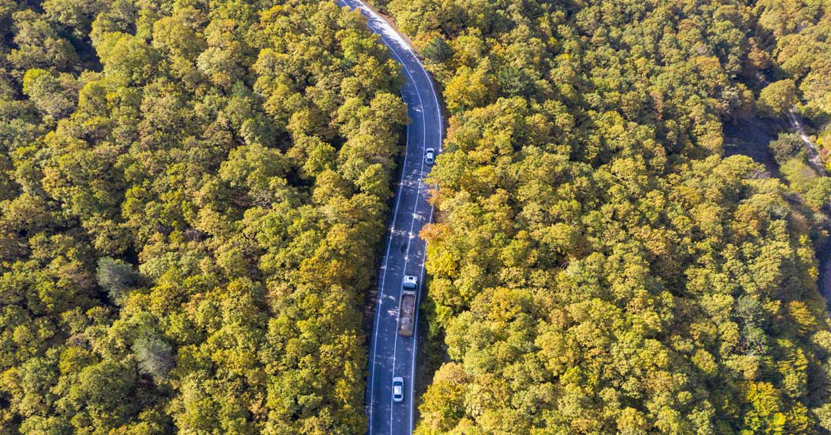 Bolu’nun Ormanlarında Sonbahar Büyüsü33