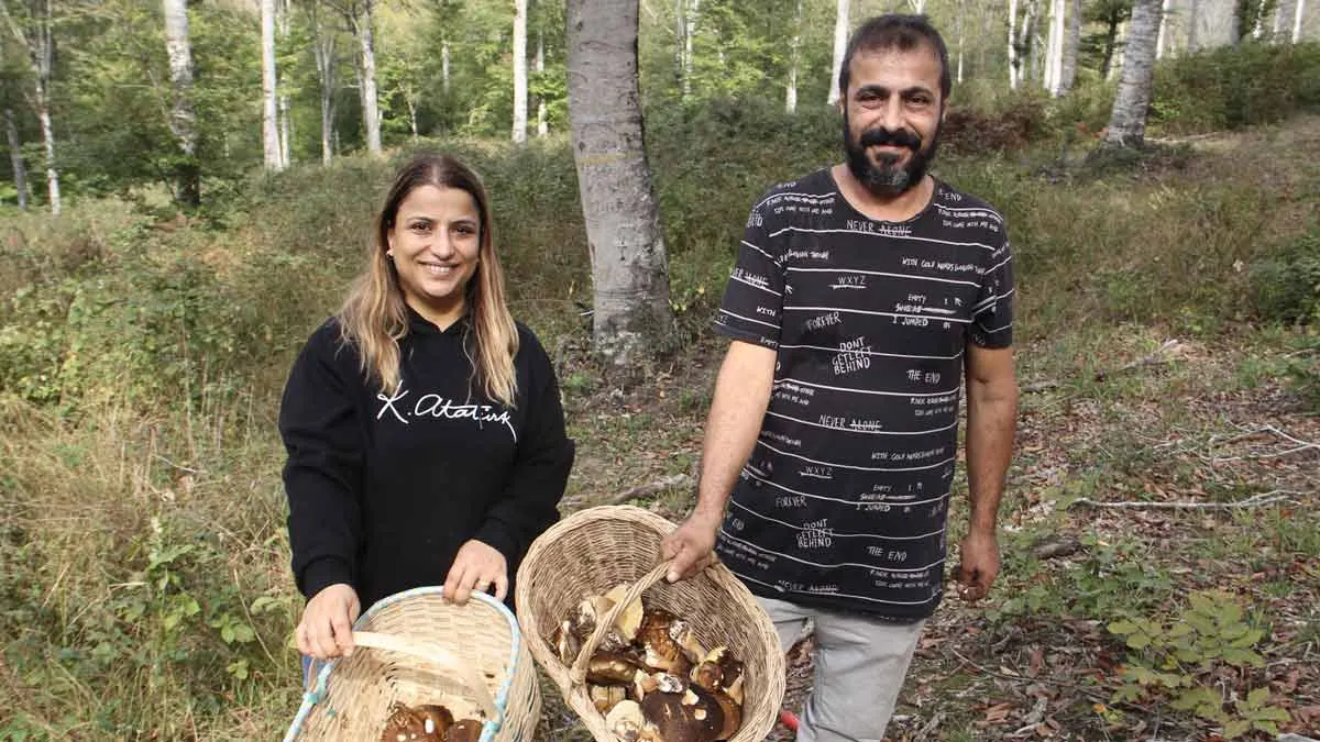 Burada Mantar Toplayanlar Paraya Para Demiyor