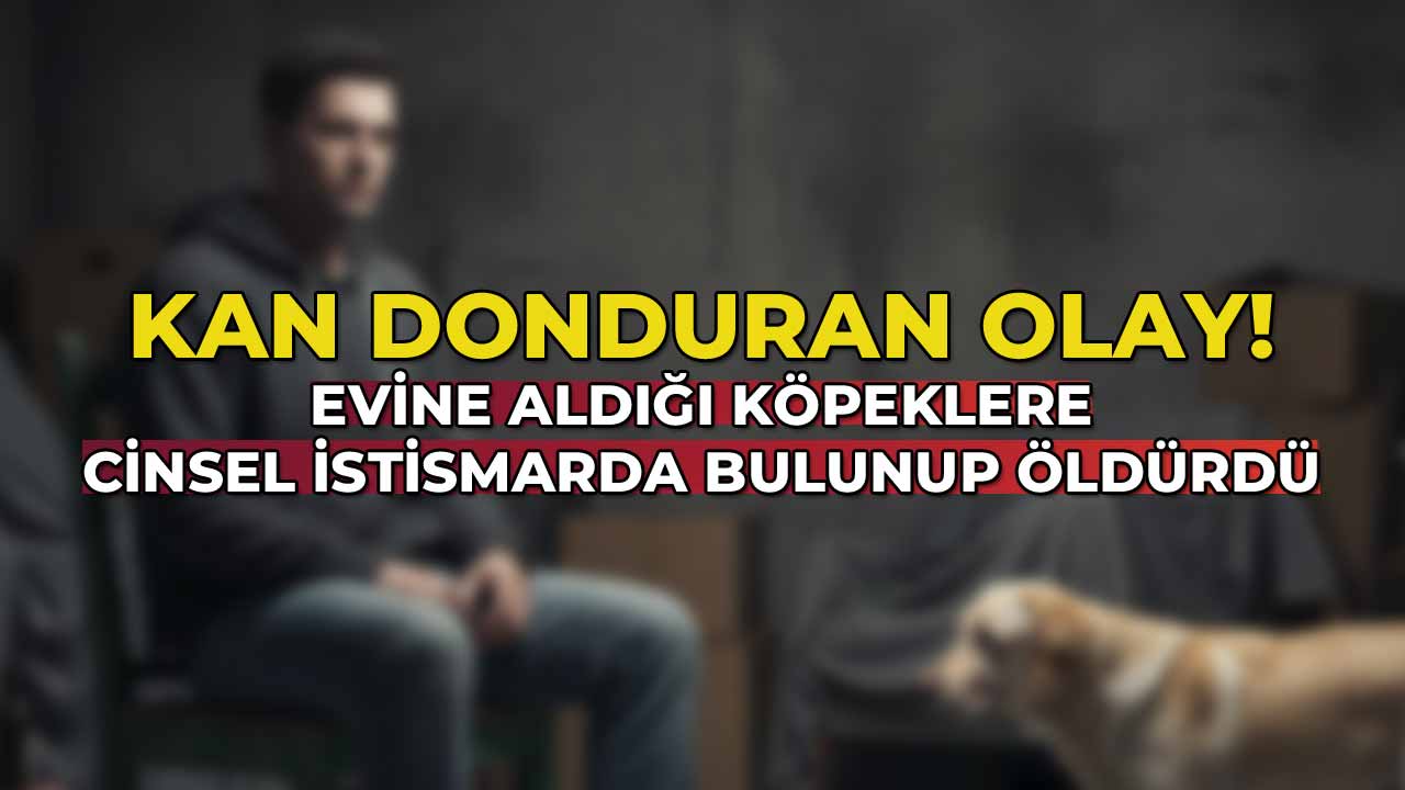 Evine Aldığı Köpeklere Cinsel İstismarda Bulunup Öldürdü