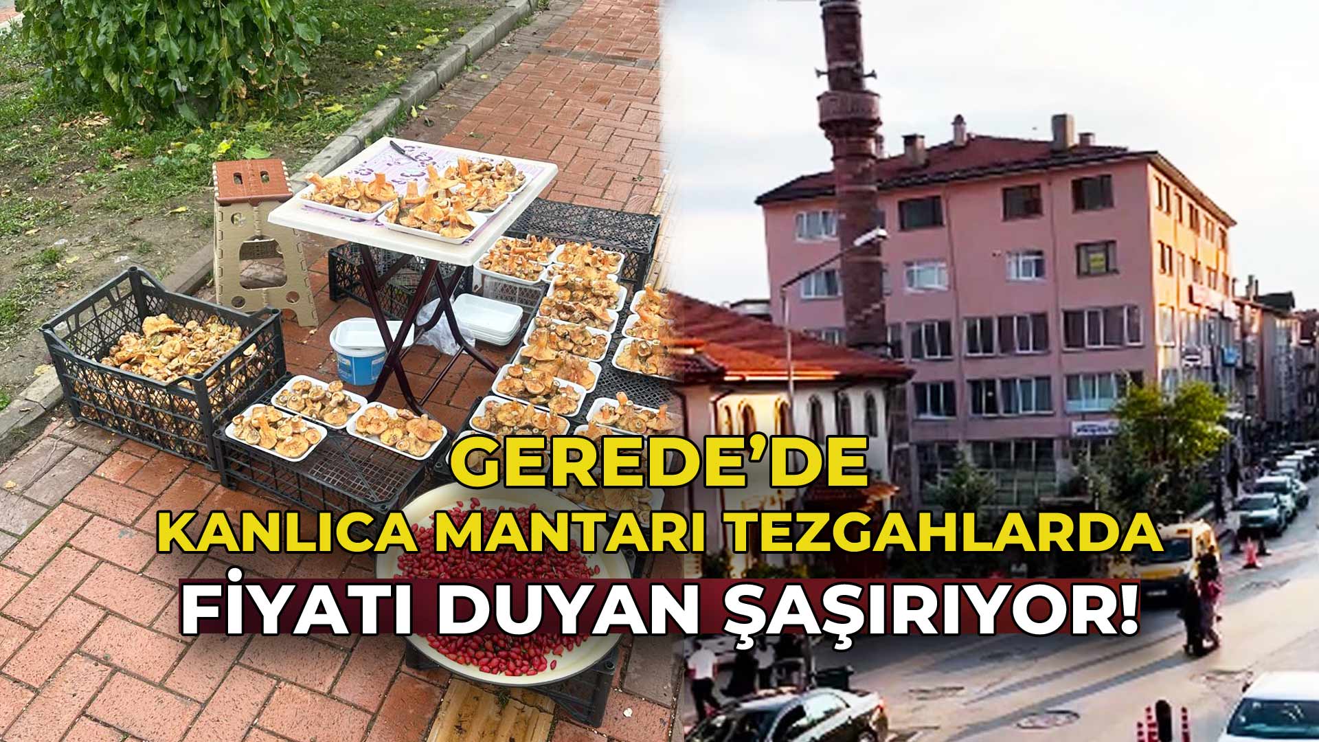Gerede’de Kanlıca Mantarı Tezgâhlarda