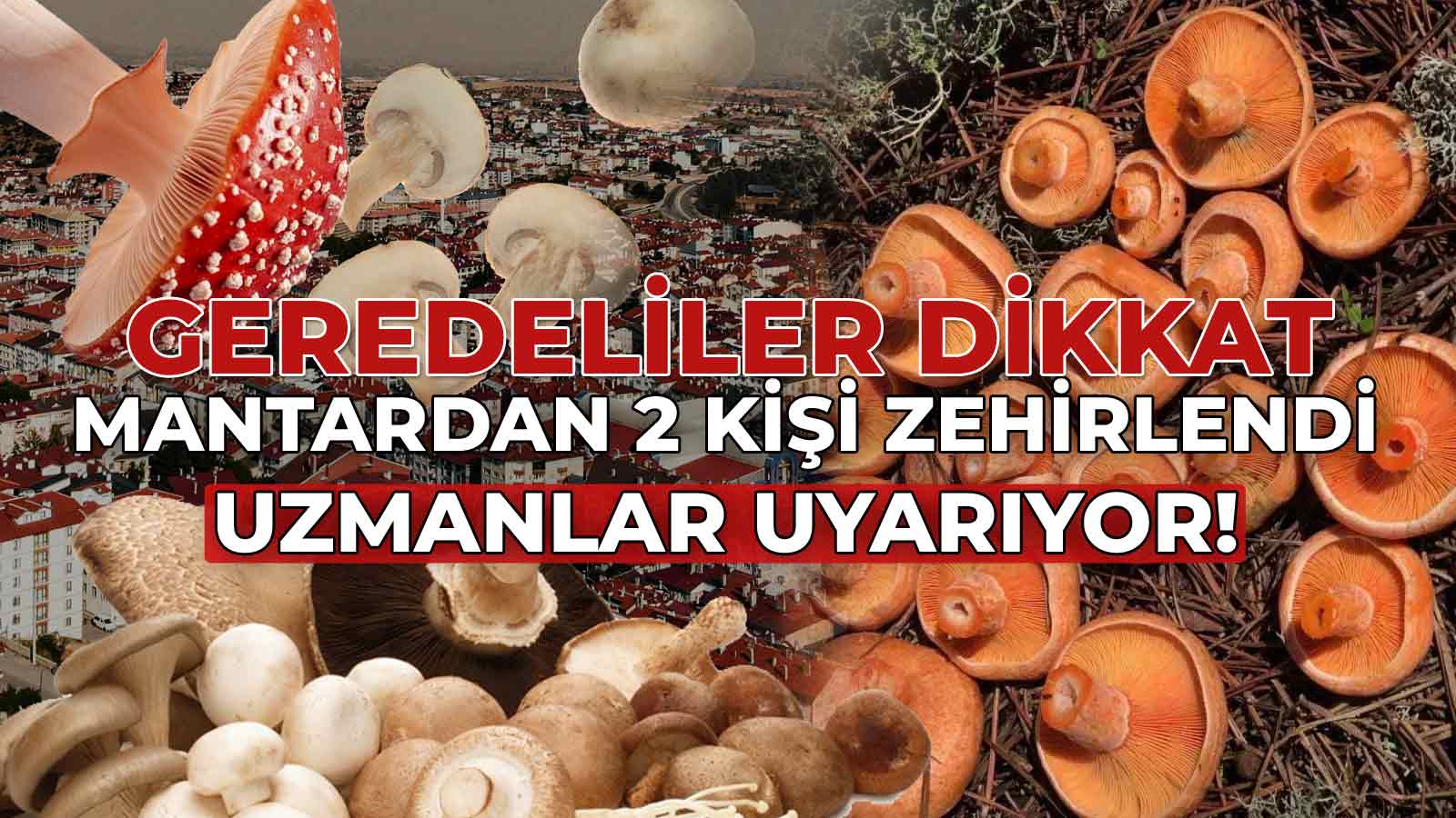 Geredeliler Dikkat! Mantardan 2 Kişi Zehirlendi
