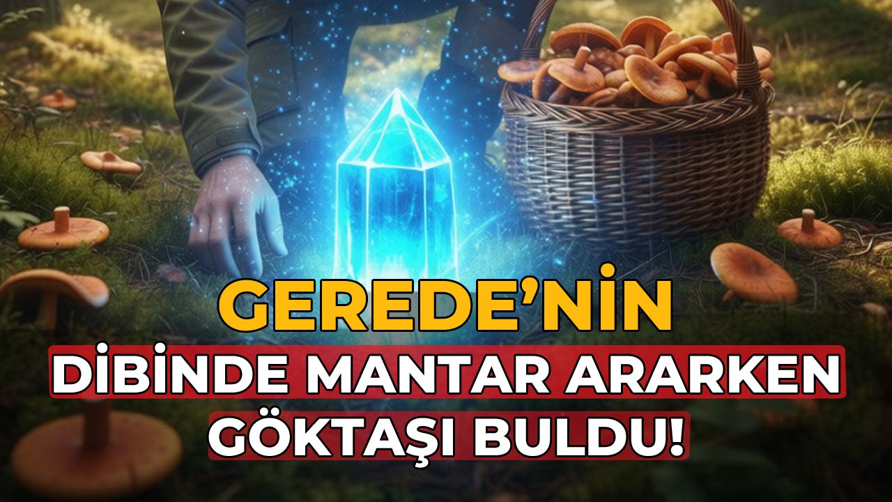 Gerede'nin Dibinde Mantar Ararken Göktaşı Buldu