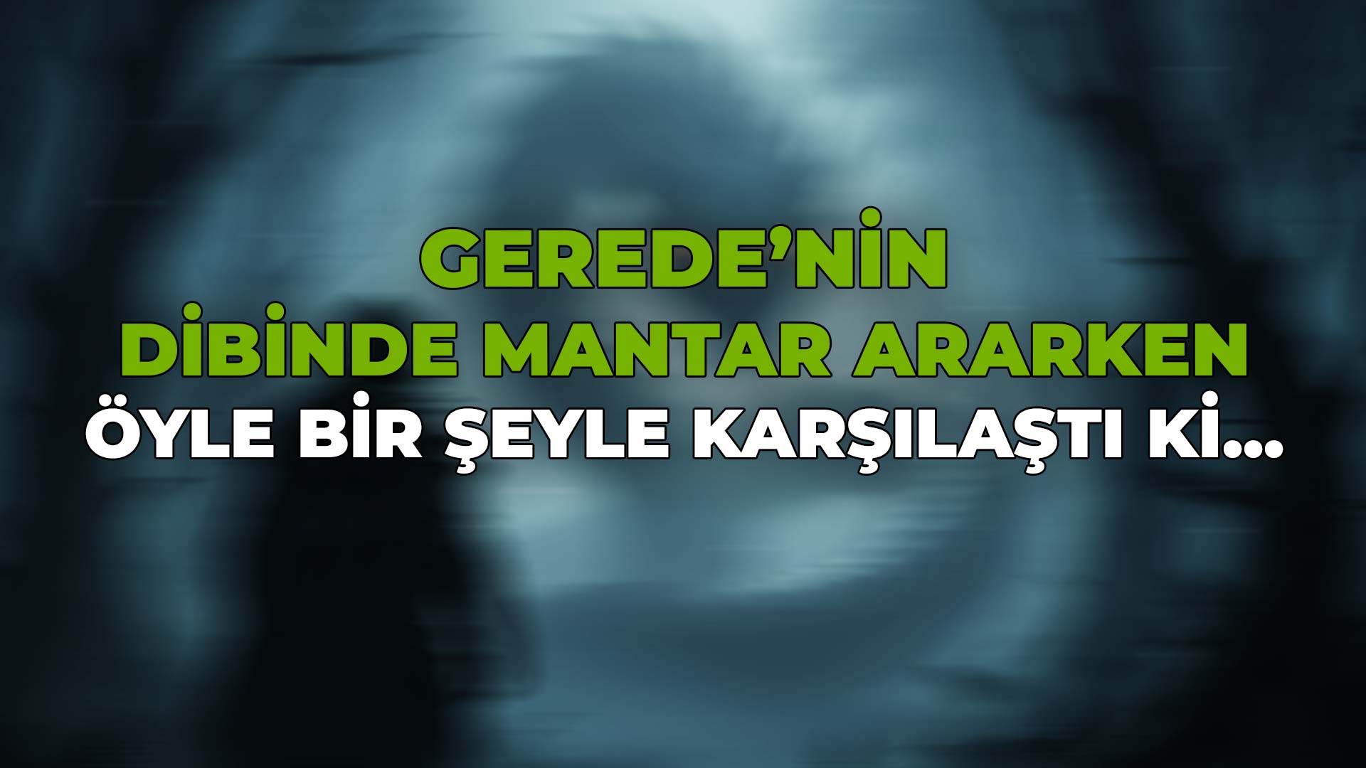 Gerede’nin Dibinde Mantar Ararken Öyle Bir Şeyle Karşılaştı Ki...