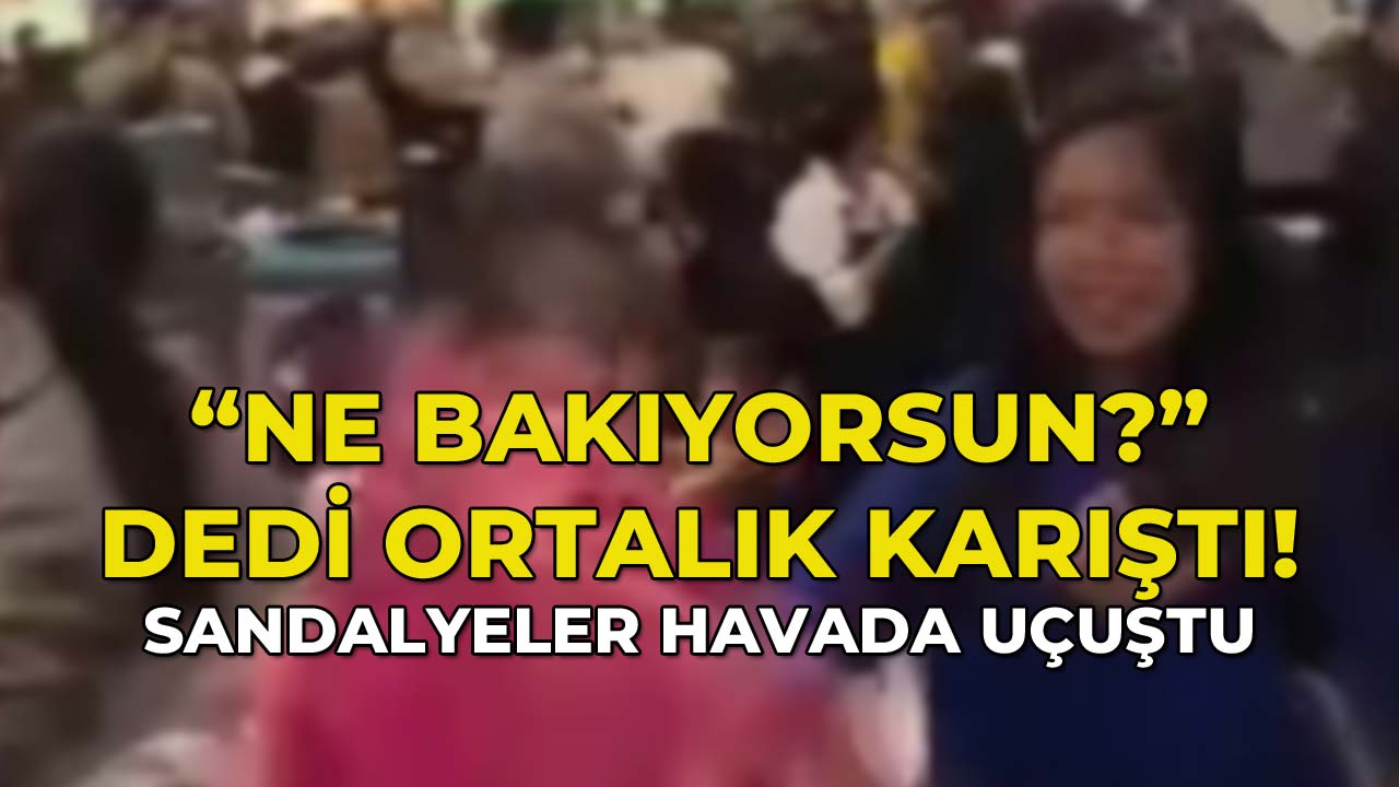 Ne Bakıyorsu Dedi Ortalık Karıştı