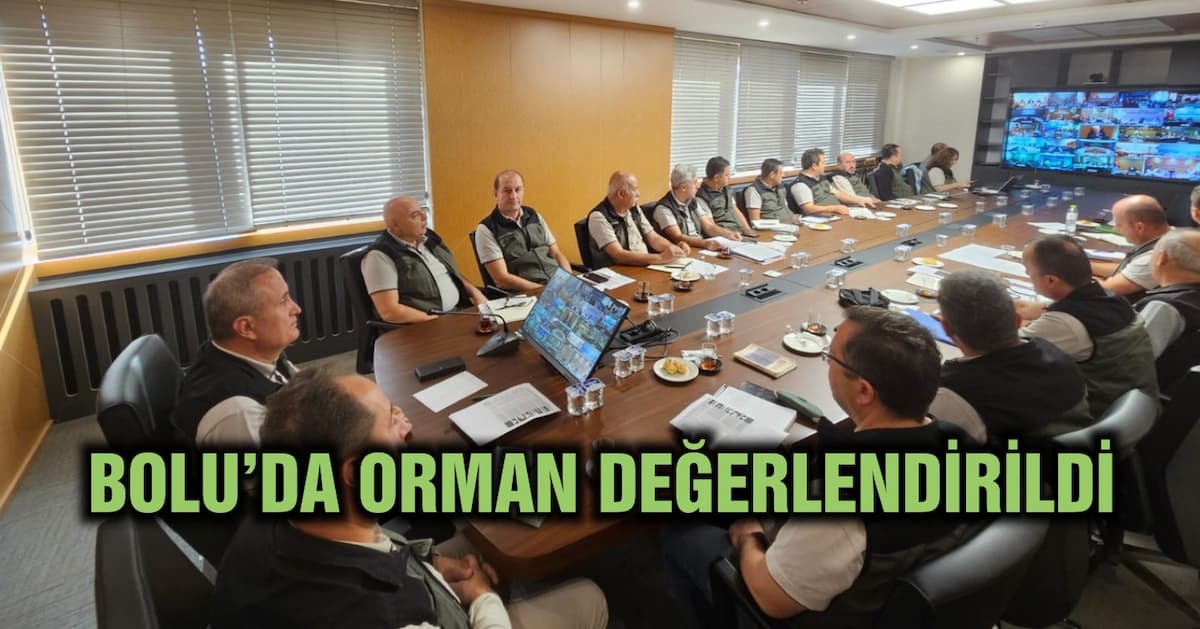 ORMAN (1)