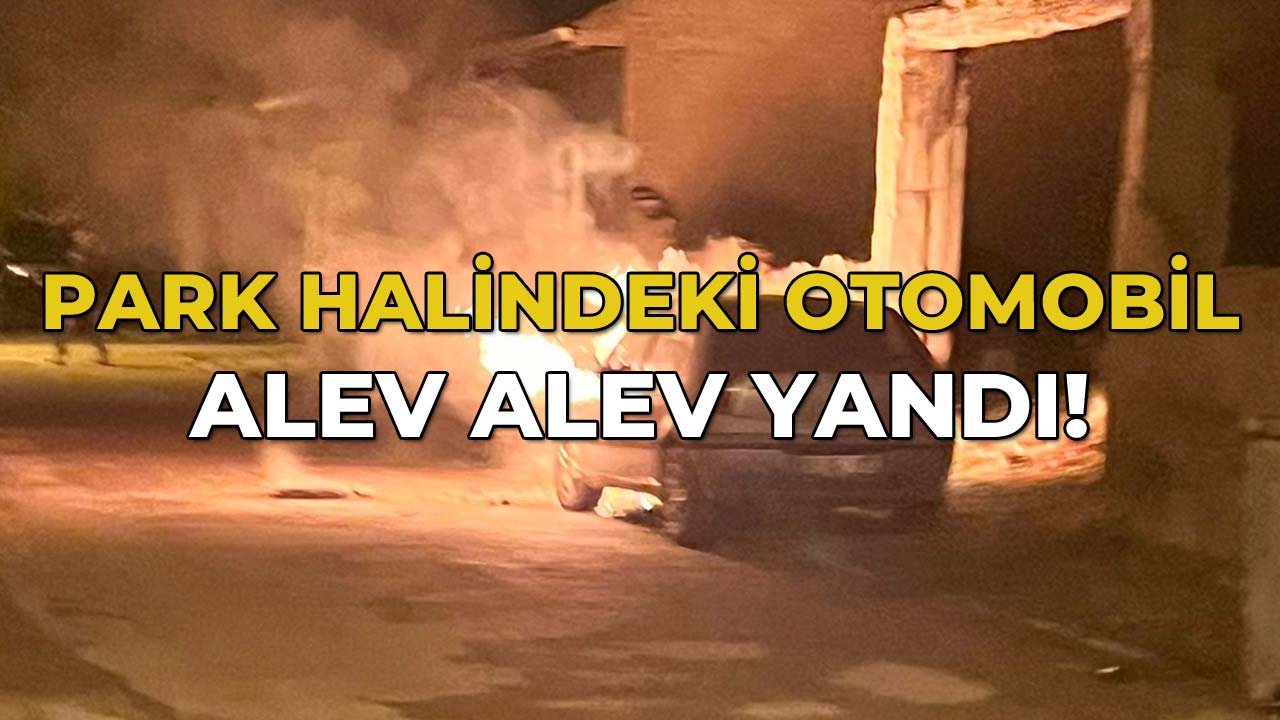Park Halindeki Otomobil Alev Alev Yandı33
