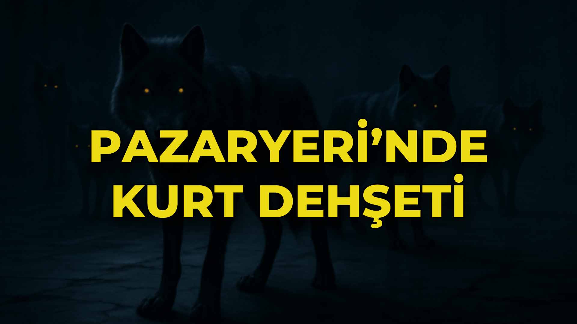 Pazaryeri’nde Kurt Dehşeti