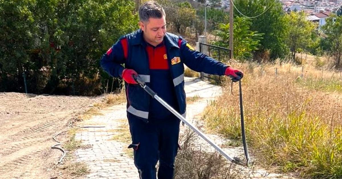 amasyada bag evine giren yilan korkuttu ZuS6NkfN.jpg