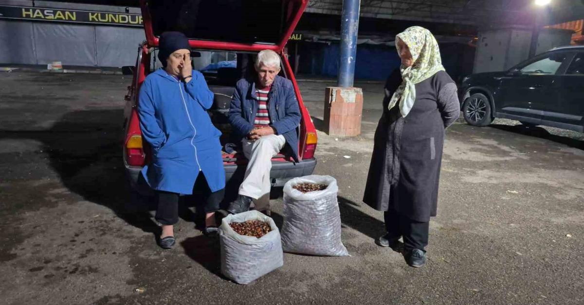 bartinda kestane fiyatlari costu kuraklik rekolteyi yerle bir etti yZQC5nbm.jpg