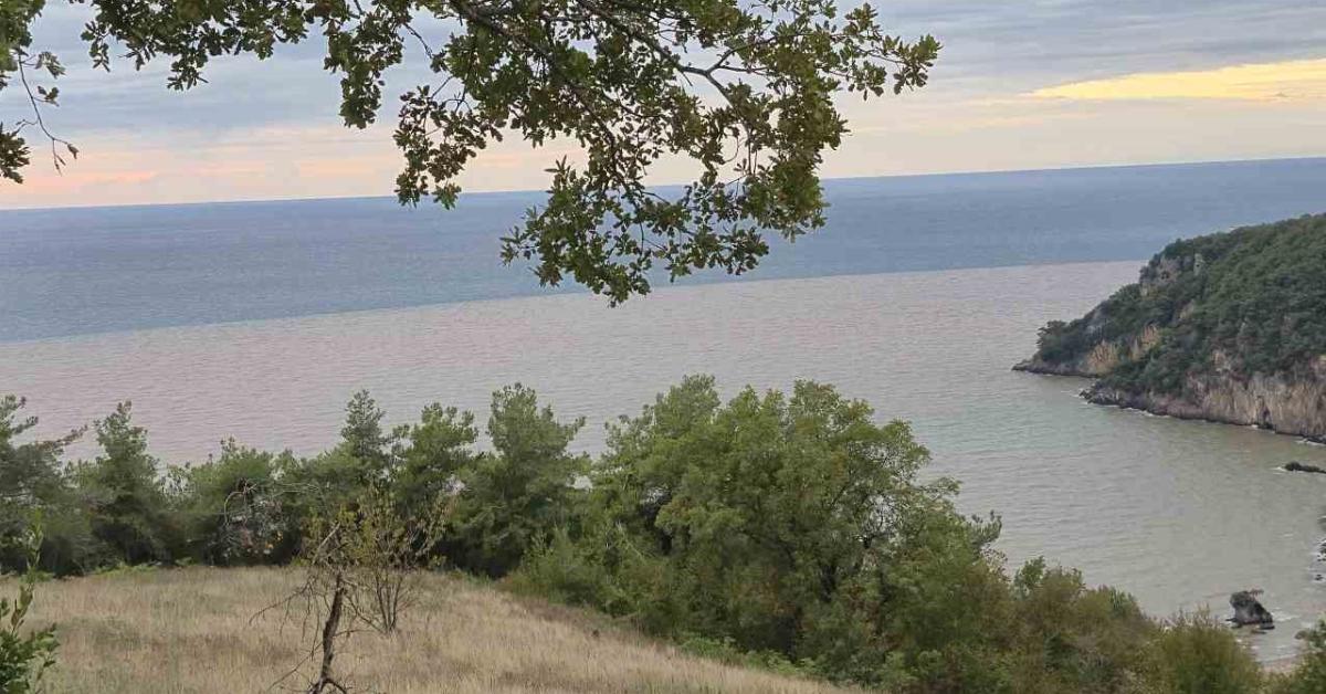 bartinda yagislar sonrasi denizin rengi degisti ddNGVXgd.jpg
