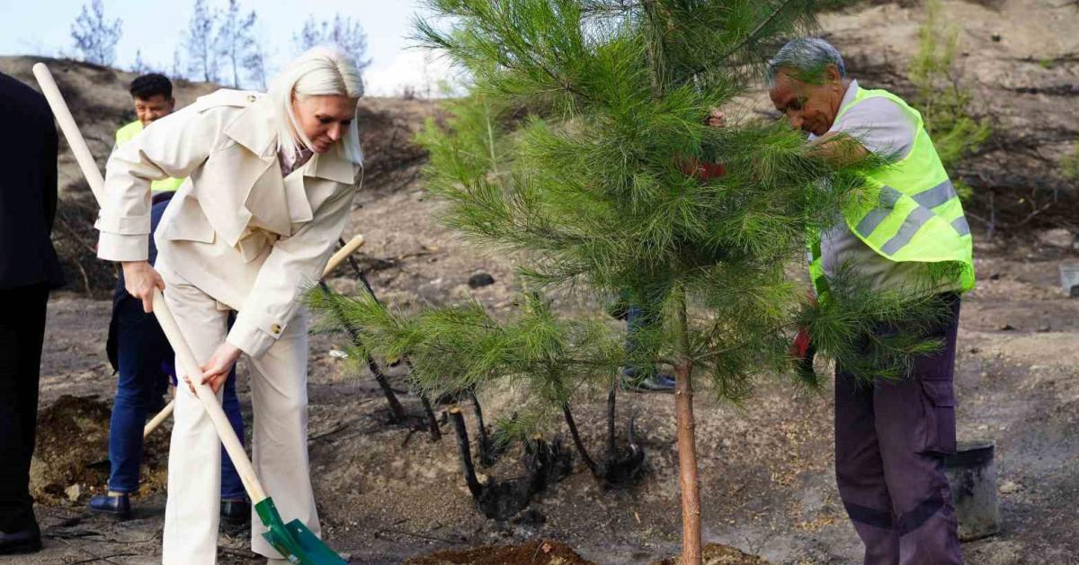 bilecikte yangin alaninda yeni fidanlar toprakla bulustu cBtK7jOw.jpg