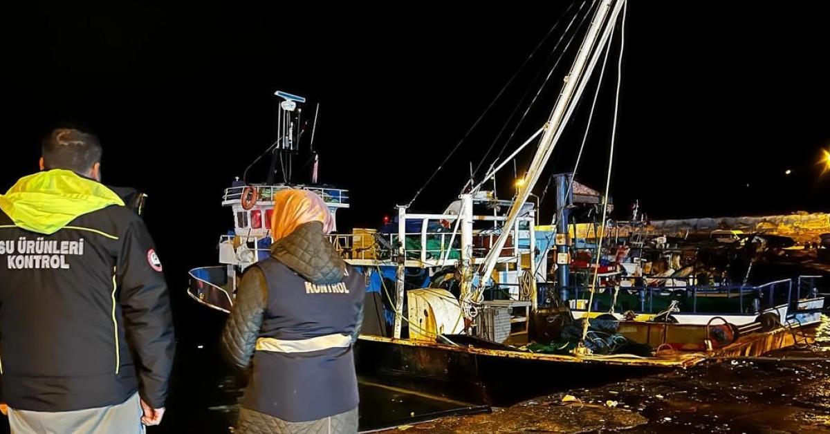 duzce akcakocada hamsi bereketi 721 ton hamsi avlandi nkK6CkiK.jpg