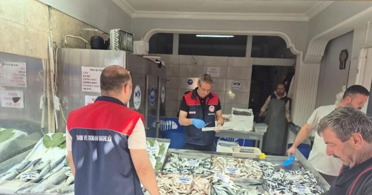 duzcede yasal olmayan balik avciligina gecit yok 66 bin tl ceza Yrht72Bx.jpg