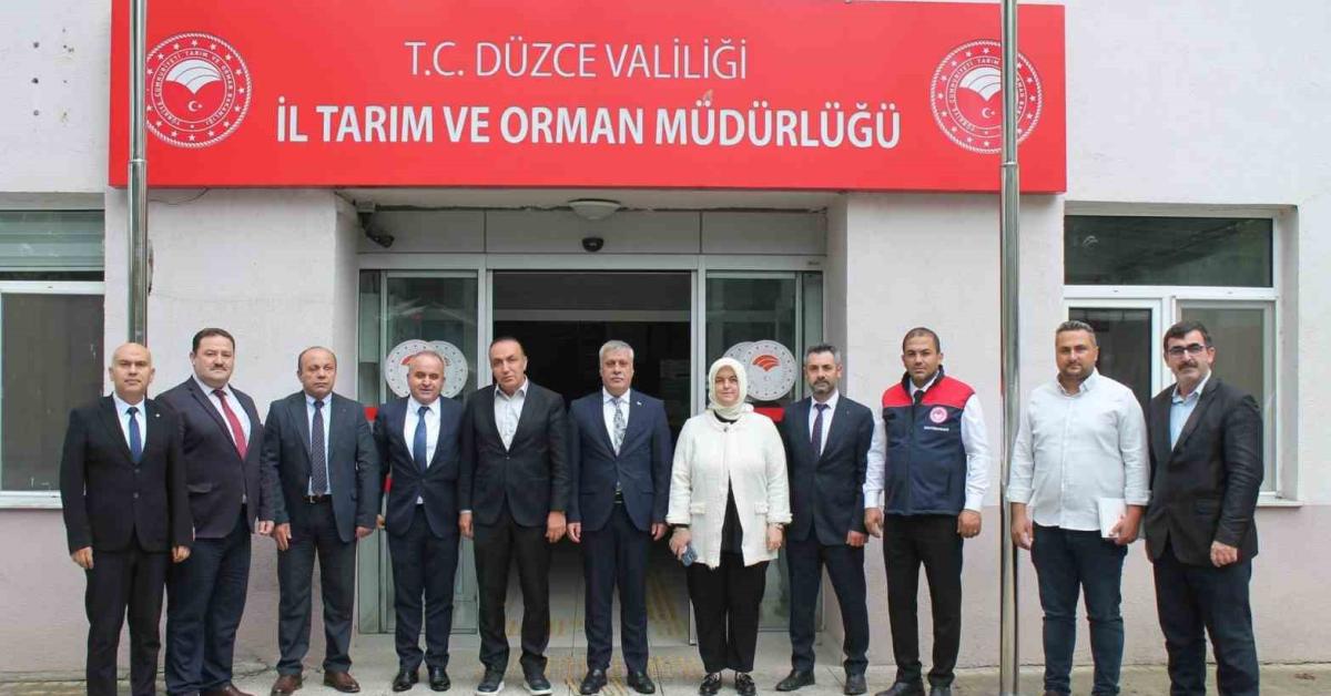 duzcenin kahverengi kokarca mucadelesi suruyor ZMgVAn2P.jpg