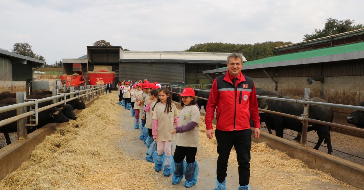 izmitte minik ciftciler dogayla bulustu Qpjwwdal.jpg