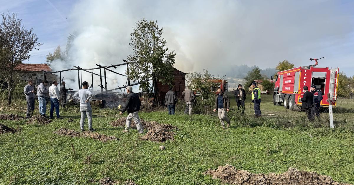 karabuk eflanide yangin felaketi 36 ari kovani yok oldu RD5mBygx.jpg