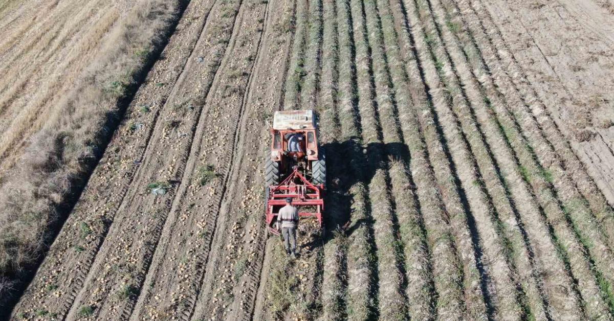 kastamonu devrekanide patatesler icin hasat vakti geldi gDcYeLle.jpg