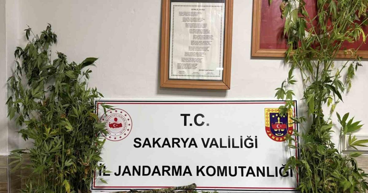 sakarya karasuda kenevir hasadina giden supheli sucustu yakalandi Kq1PXcaX.jpg
