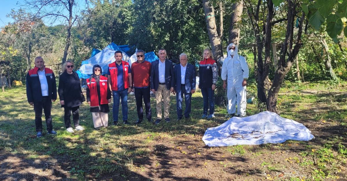 samsun salipazarinda kahverengi kokarca ile mucadele devam ediyor ceNkQId5.jpg
