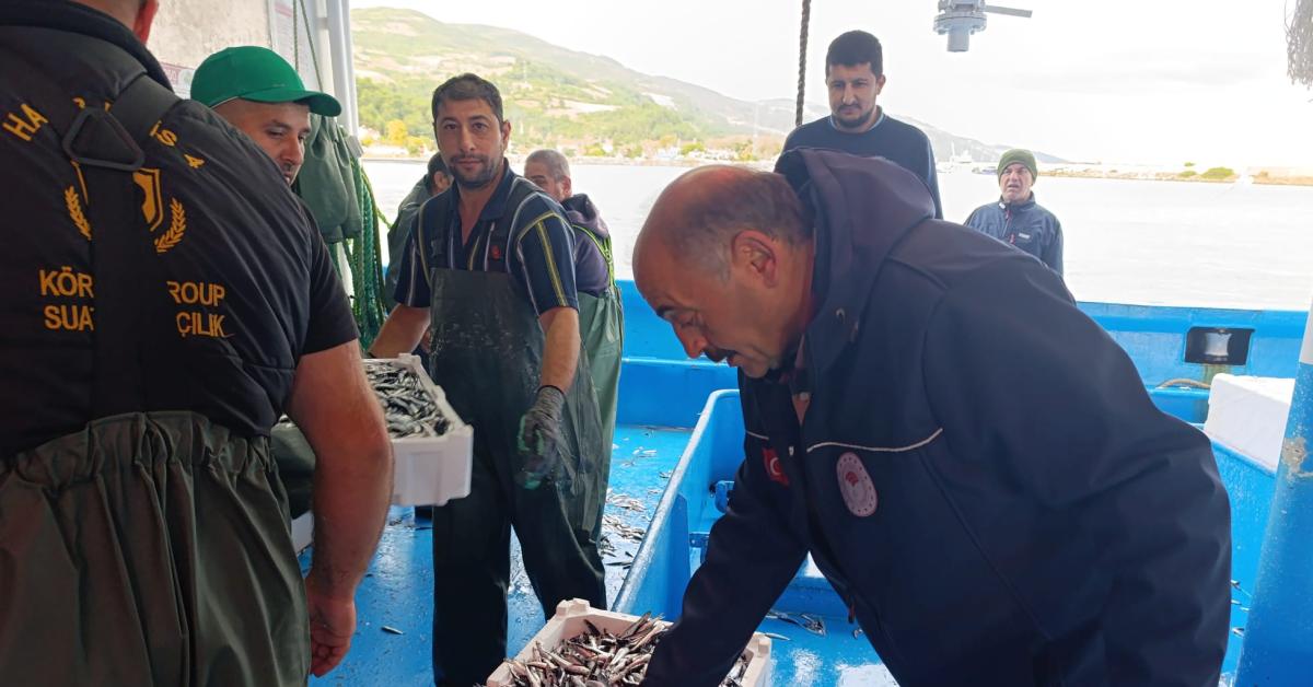 samsunda hamsi avciligina kota uygulamasi drfR7T6m.jpg