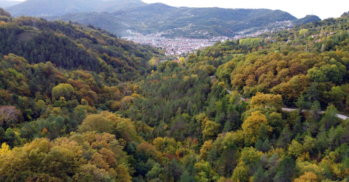 sinop ayancikta sonbahar renkleriyle goz dolduruyor 4wGKRSX8.jpg