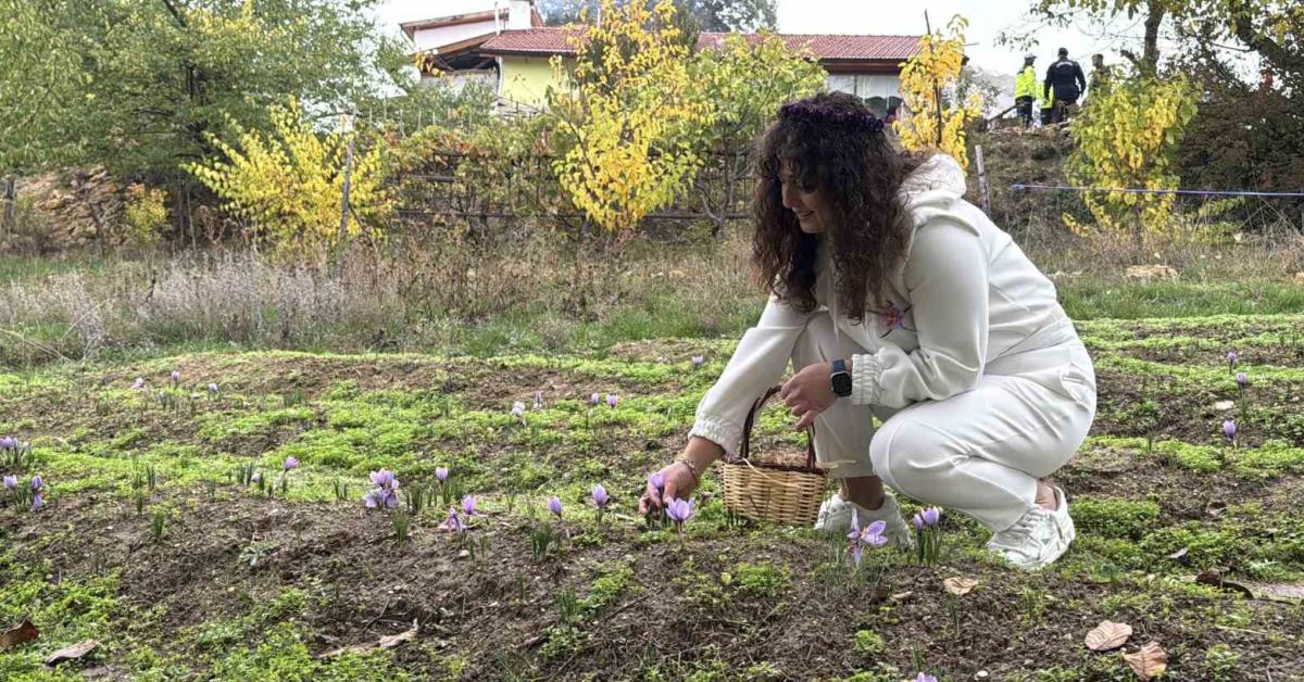 topraktan cikiyor 600 bin liradan satilacak WkctKGam.jpg