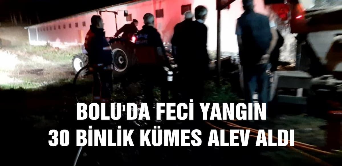 yangın (1)