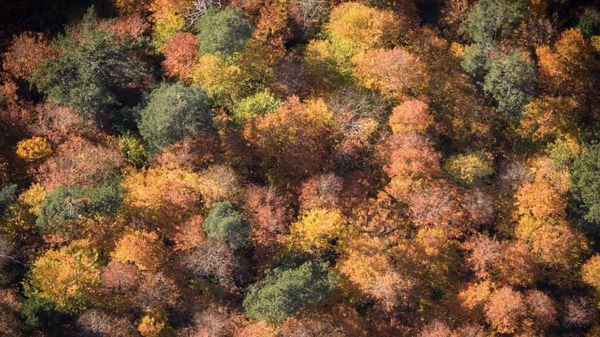 Bolu Sonbaharda Göz Kamaştırıyor44