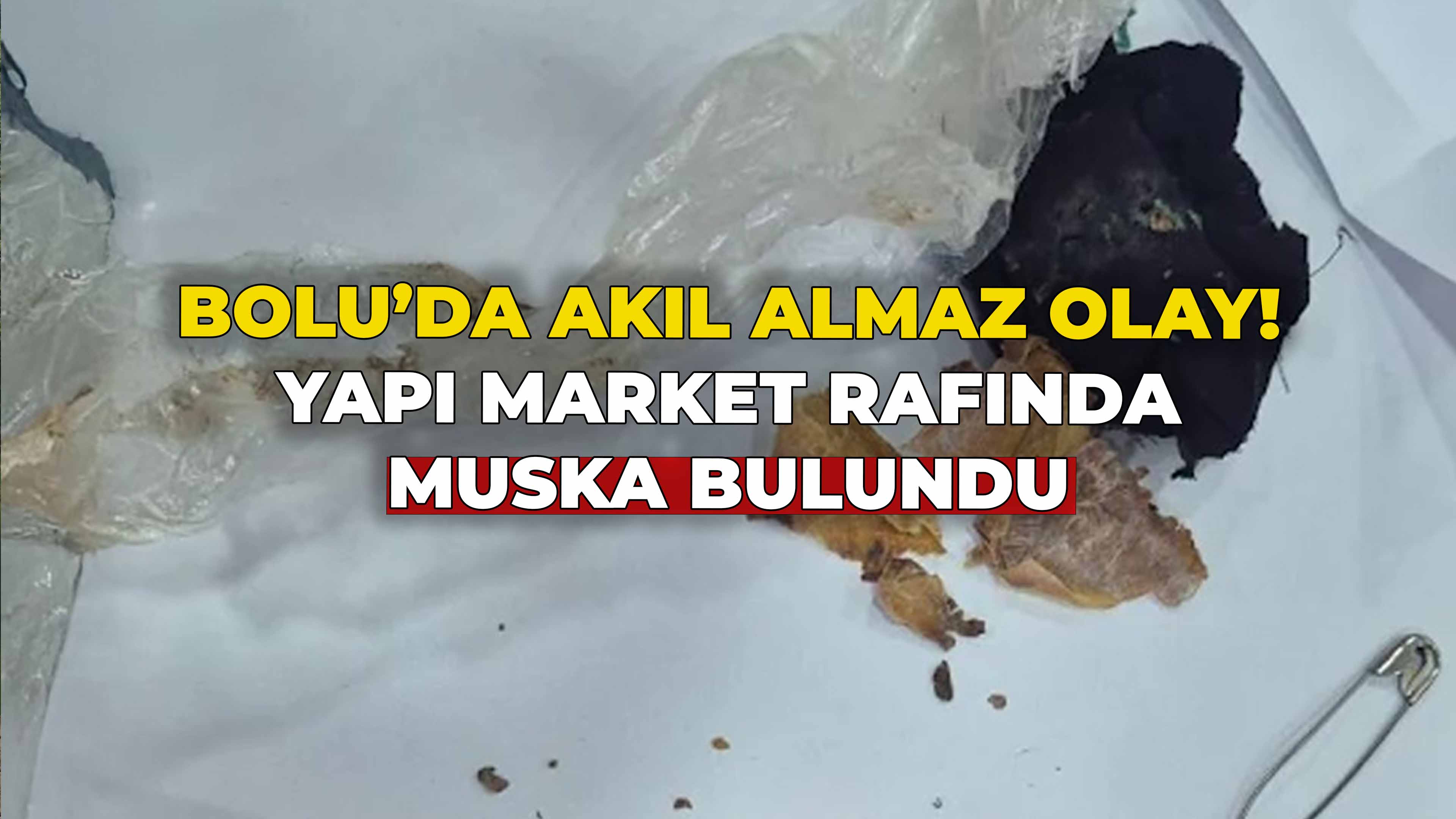 Bolu’da Akıl Almaz Olay3