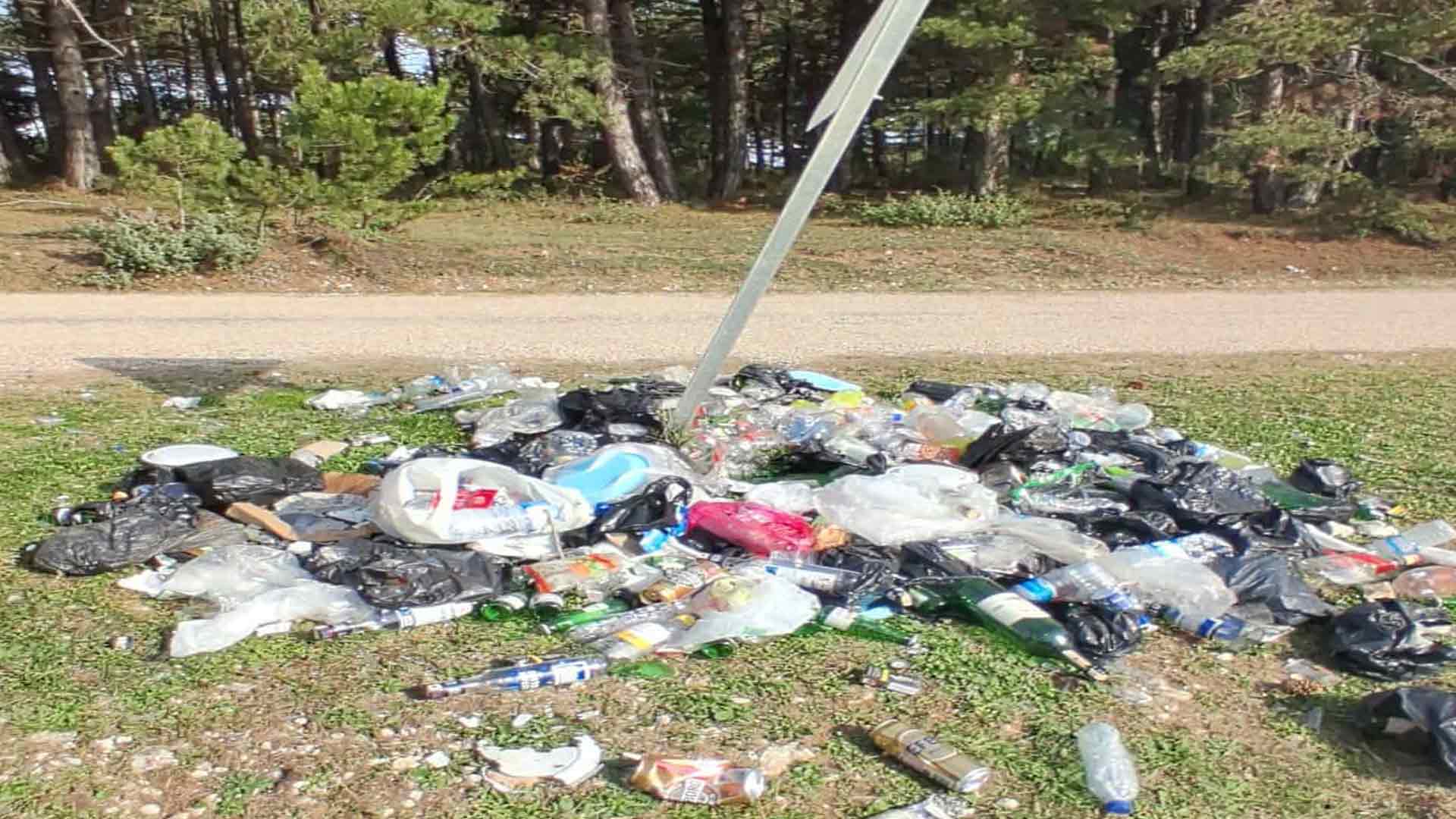 Bolu’da Gördüklerine İnanamadılar Çöp