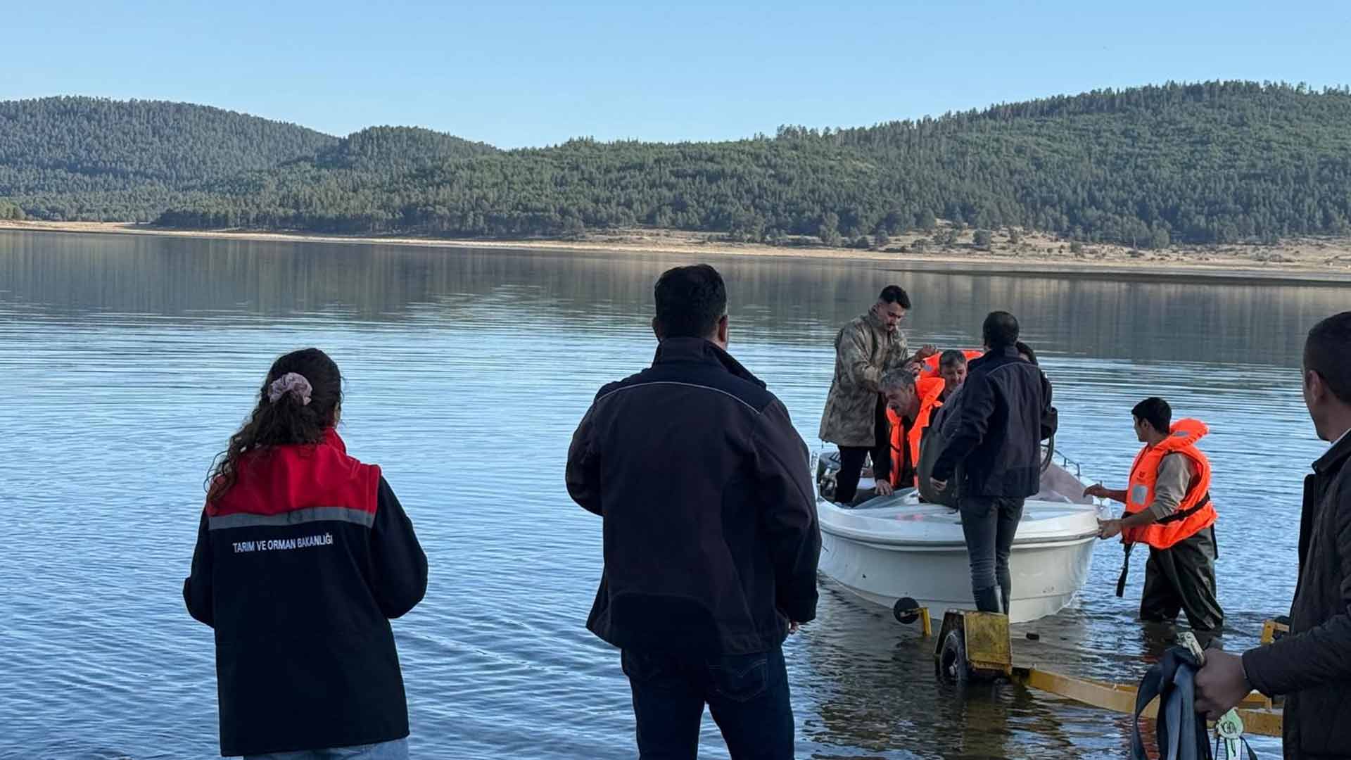 Bolu’da Hayalet Ağdan 500 Balık Kurtarıldı